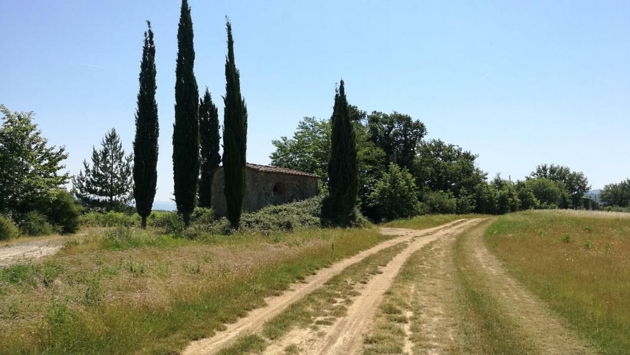 Attico A Barberino Di Mugello公寓 外观 照片